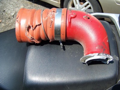 100_7291 (Large)